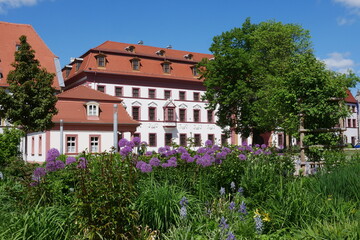 Blumen am Hirschgarten in Erfurt vor Thüringer Staatskanzlei