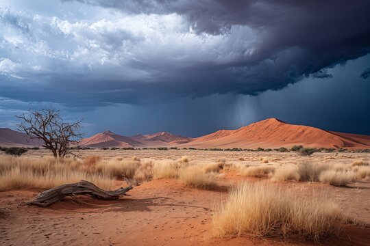Gewitter &uuml;ber der W&uuml;ste - dunkle Regenwolken &uuml;ber einer ausgetrockneten Landschaft