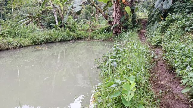 video of fish pond and footpath
