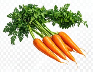 Vibrant orange carrots, fresh green tops, transparent back