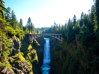 Obraz premium Toketee Falls and Bridge in Oregon's Lush Forest