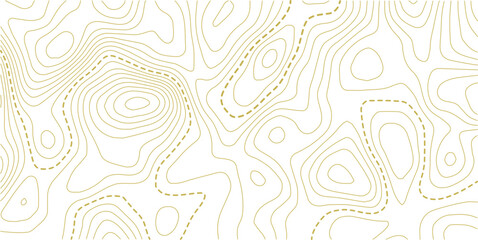 Vector illustration.Vector contour topographic map background. Topography and geography map grid abstract backdrop. Business concept. 
