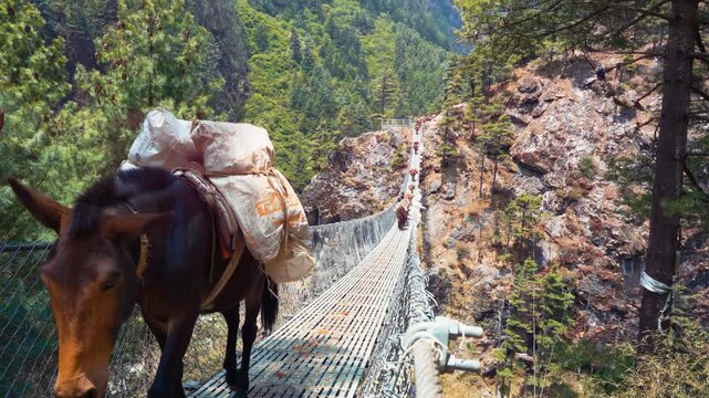 Cinematic Camera Footage of Nepal &ndash; Hiking to Lukla Through Villages, Nature, and Buddhist Culture
