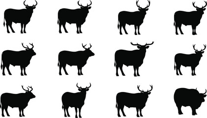 Silhouette collection of bulls in various standing poses, showcasing strong animal shapes and farm livestock design elements for agricultural vector artwork.