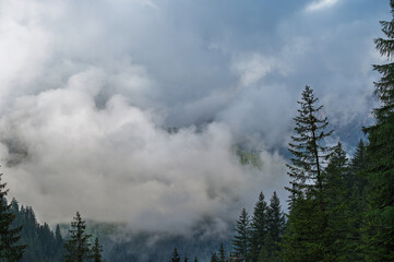 early morning foggy landscape inside Val San Nicolò, Pozza di Fassa, Dolomites, Italy