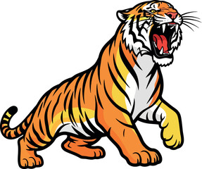 Roaring tiger ready to pounce with orange and black stripes.