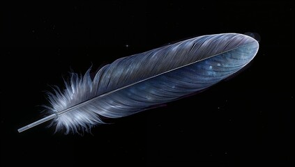 Floating single blue-gray feather showing rachis, vane and downy base on deep black background
