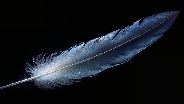 Showing long feather with rachis and downy base, dust on black backdrop under cool lighting - Powered by Adobe