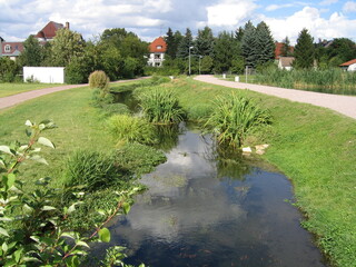Kressepark in Erfurt