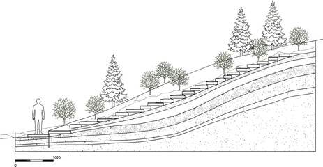 Landscaped hillside with stairs and trees in architectural plan
