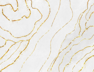 Abstract topographic map lines on white background