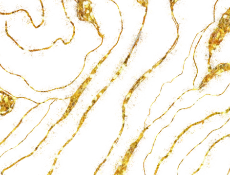 Abstract golden swirls on a white textured background