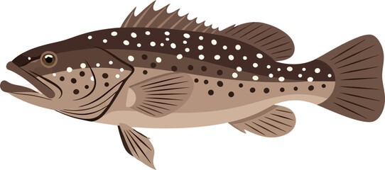 Cartoon speckled grouper aquatic fauna isolated on a black plain background art
