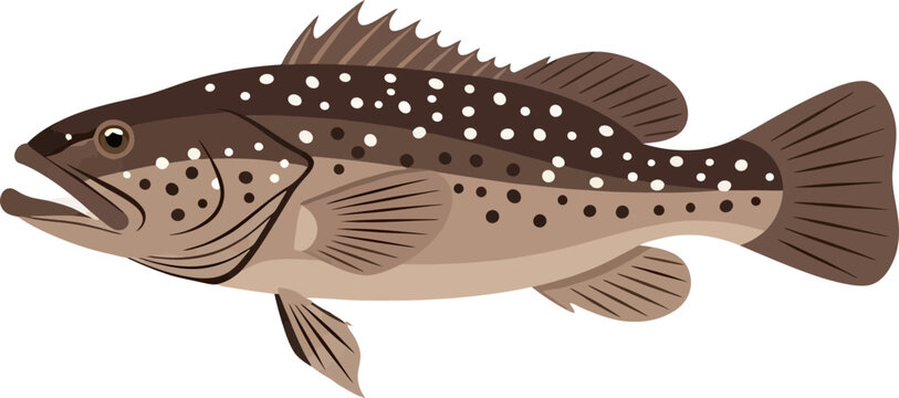 Cartoon speckled grouper aquatic fauna isolated on a black plain background art