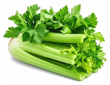 Fresh, bright green celery stalks and leaves, isolated