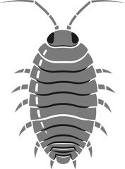 Stylized woodlouse illustration presenting a simplistic and neutral colored insect drawing