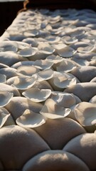 Delicate White Petals Laying Gracefully on Soft Fabric Surface