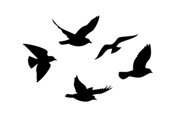 Flock of birds flying and perched silhouettes on white