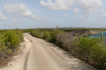 Coastal road through cactus vegetation on Bonaire Caribbean
