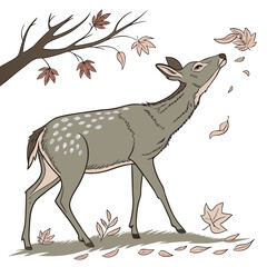 A graceful spotted deer looks up at falling autumn leaves under a bare tree branch in a charming illustration