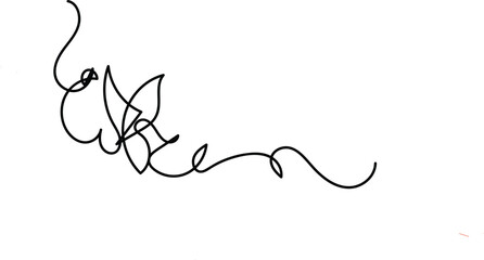 Outline single art butterfly hand drawn sketch element on white background.