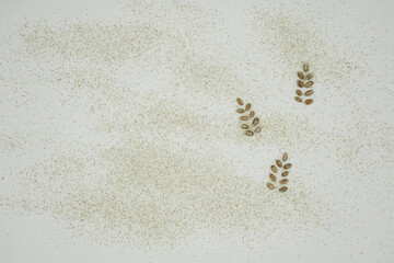 Organic Whole Wheat Flour with Wheat Grains. Suitable for bakeries, blogs, and food brands. Minimalism. Copy space.