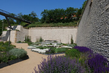 Bl&uuml;hender Garten an der Zitadelle Festung Petersberg in Erfurt