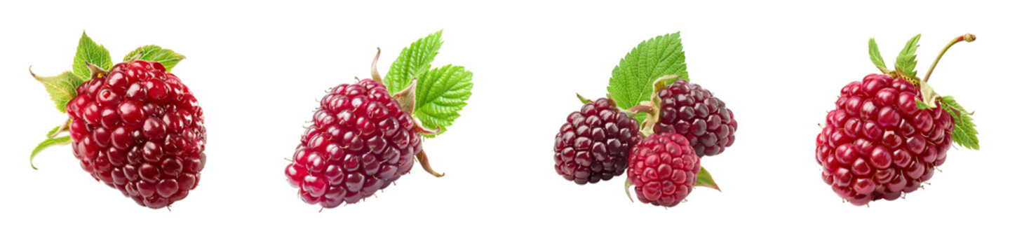 Arrangement of Tayberry fruits with vibrant colors fresh green leaves