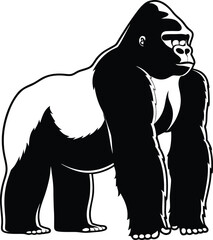 Gorilla silhouette isolated on white background
