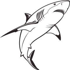 Shark silhouette isolated on white background