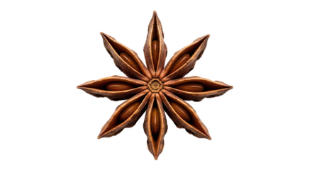 Star anise pod with eight pointed segments and glossy brown seeds—used as aromatic spice in culinary and botanical contexts