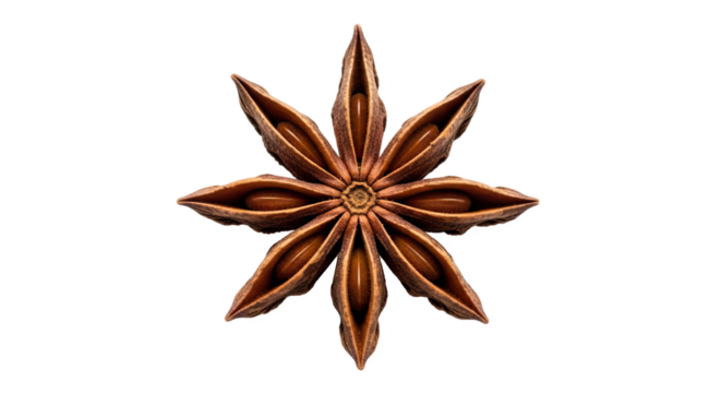 Star anise pod with eight pointed segments and glossy brown seeds—used as aromatic spice in culinary and botanical contexts