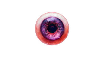 A realistic human eyeball with a purple iris isolated on a white background, a violet contact lens concept, a scary horror eye with red veins, a medical anatomy object close-up.