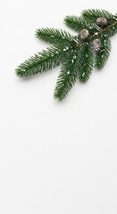 Minimalist Christmas card design featuring a green pine branch with pine cones on a white background