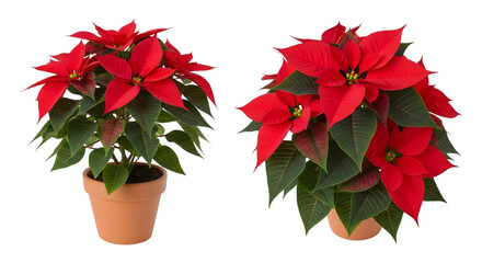 Morning ritual coffee journal and pen in soft sunlight for creative inspiration