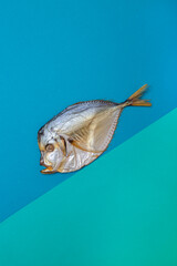 Smoked sea fishmoon on a colored background at an angle