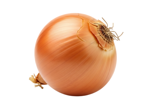 A single whole brown onion with dry outer skin and root end visible, isolated on transparent background