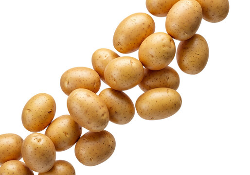 A diagonal cascade of fresh, small, light brown new potatoes tumbling across a stark transparent background, isolated on transparent background