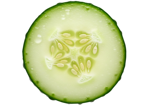 Close up of a single, fresh cucumber slice showing the intricate seed pattern and vibrant green rind isolated on transparent background