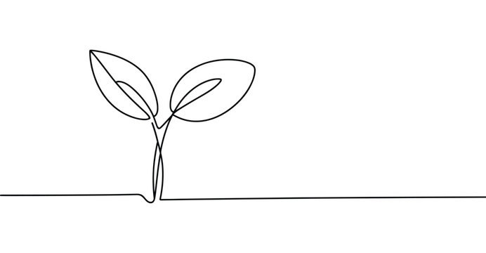 Minimalist one line drawing of young sprouting plant &ndash; elegant continuous line art symbolizing growth, nature, sustainability, and renewale