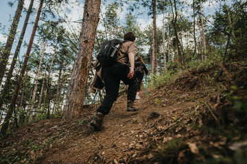 Obraz premium A small group of hikers climbs a dirt forest trail among tall pines, equipped with backpacks and trekking poles. The scene conveys outdoor adventure, nature, and a steady ascent.