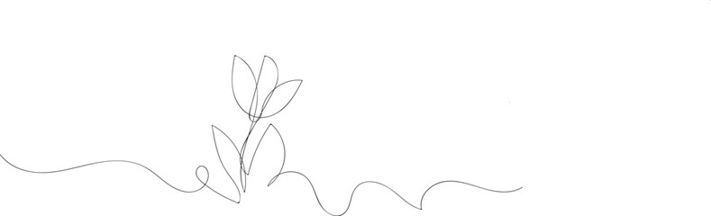 Elegant continuous line art botanical tulip design.modern minimal tulip line art floral vector.