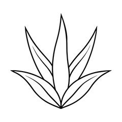 Aloe vera outline illustration presenting a clean botanical style for natural themes Vector illustration
