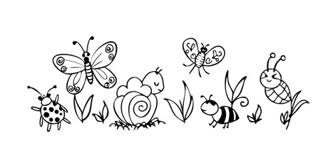 Hand Drawn Insects Doodle Collection butterfly ladybug
