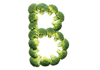The letter b formed by fresh green broccoli florets arranged artistically isolated on transparent background