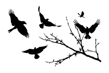 Minimalist black silhouette of birds in flight flying