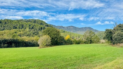 Lush Green Field with Mountains in the Background on a Sunny Day