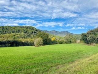 Lush Green Field with Mountains in the Background on a Sunny Day