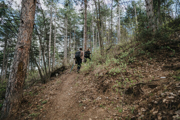 Two hikers with backpacks ascend a dirt trail through a pine forest, surrounded by trees and undergrowth, enjoying a peaceful outdoor trek in nature.