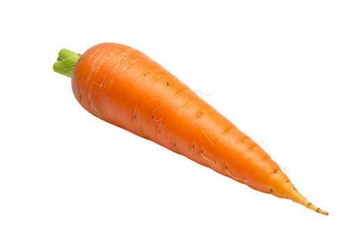 A single fresh orange carrot vegetable with a small green stem top isolated on transparent background